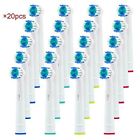 -16qorm68 Pearl Enterprises Generic Oral B