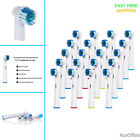 05924 Oral-b Replacement Toothbrush Heads 010002105924