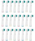 100537x24 Unbranded Oral Compatible Replacement Toothbrush Heads Pack Brand 713807169053