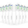 1807286064 Toptheway Replacement Brush Heads For Philips Sonicare Diamondclean 689828962075