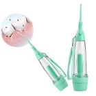 192240294568 Denshine Dental Care Water Jet Oral Irrigator Flosser
