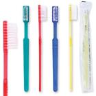 36pkpastedtoothbrush Adult Disposable Toothbrushes Individually Wrapped Perfect Cruise