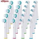 50413 Alayna Oral Ortho Brush 606345407346