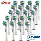 606345406684 Levado Oral Replacement Brush Pack Of Generic Braun