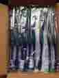 609-72 Dr Fresh Pre-pasted Prepasted Disposable Toothbrush Individually Wrapped 72pk