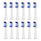 S32-4 642610522079 Unbranded 12x Replacement Toothbrush