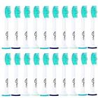 653472735576 Unbranded 20pack Replacement Toothbrush