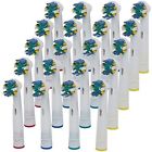 6902522100401 Genkent Toothbrush Replacement Heads Generic