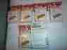 6x100 Sweet Breath Interdental Stimulators Cinnamon