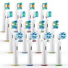 718194432698 Orax Oral Replacement Brush Heads Variety Pack Toothbrush
