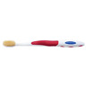 727958 Mouthwatchers Mouth Watchers Antibacterial Adult Toothbrush Display Case 692624602854