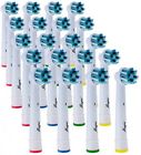 744430691826 Alayna Generic Cross Action Toothbrush Replacement Head-oral-b 20 744430691819