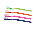 758736025216 Orthobands Prepasted Individually Wrapped Disposable Toothbrushes Box Of