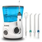 760619 Belmint Water Jet Pick Flosser Dental Care Professional 986538760619