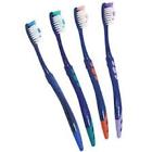 B01882j5ca Premium Prepasted Disposable Toothbrushes Individually Wrapped Assorted