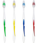 B01lxoqbh3 Coastredwood 50 Pack Toothbrush 4913333170974