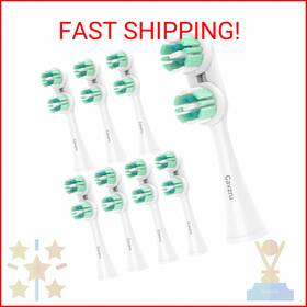 Cavzru Casp-8 Replacement Heads Compatible With Spinbrush Pro Clean Electric Toothbrush