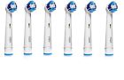 C111806 Count Oral- Clean Head 6 Professional Precision Brush Replacement
