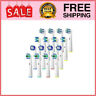 Hb031 Redtron Replacement Brush Heads For Oral Pcs Toothbrush 682559350425