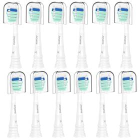 P12-24-001 Joryama Replacement Toothbrush Heads For 1 Count Pack Of 12