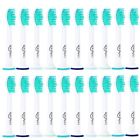 O43ncp8sok Korsmall 20 Replacement Toothbrush 608307580197