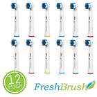 Oball12 Freshbrush Generic Toothbrush Replacement Heads For Professional Care 791617489721