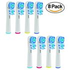 Oralbdualactiontoothbrush8pcs Threadnanny Premium 8pcs Toothbrush 662712233864