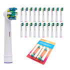 Orbeb25ax5 P Rdent 20 Toothbrush 719826172081