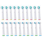 Ip-17a Ortho Brush Kit Unbranded