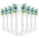 P89024 Bernito Replacement Brush Heads For Philips Sonicare Series 676422368761