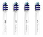 Sonishare Toothbrush Replacement Heads Generic Standard For B 787639586616