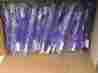 20757709001213 Tb40 Dawn Mist Lot Of 144 Dawnmist Toothbrushes 39 Tuft Individually Wrapped Purple Disposable