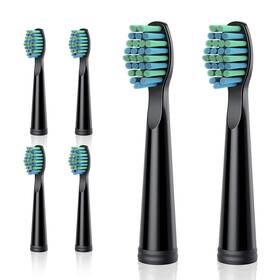 167-bbqw Teetheory 6 Replacement Brush Heads Complete Care 1 Count Pack Of Black