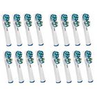 The S P Replacement Brush Heads 4 Pack X Stk 520930188475