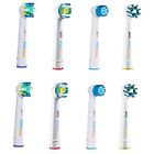 Tq1005 Toothquake Oral-b Variety Mix