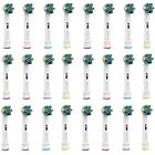 Tq1006 Toothbrush Replacement Heads Bulk 611230474921