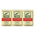 Ttt005 Tea Tree Therapy Toothpicks Cinnamon Count Pack Of 637792505002
