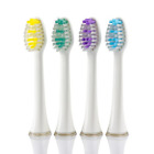 Wtb48k Wtbh1 Wellness Oral Care Replacement Heads For Sonic Electric 696583100994