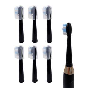 Xcivi 727387998316 6-pack Replacement Toothbrush Heads For Dnsly 6 Count Pack Of 1 Black