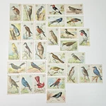1915 Arm & Hammer Church And Co's. Soda Useful Birds Of America Complete Set 30. Fixed Price $89.99.