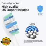 Philips Sonicare Toothbrush Heads C1 C2 C3 12PK - Replacement. Fixed Price $27.99.