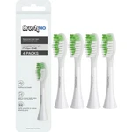 Brushmo Replacement Head BM1024/03. Fixed Price $9.90.