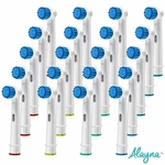 Alayna Replacement Toothbrush Heads For Sensitive Gums Compatible With Oral 20. Fixed Price $14.99.
