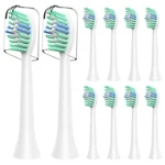 Toothbrush Heads With Coslus DY-108PRO Pack .... Fixed Price $16.12.