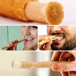 Sewak Natural Miswak Toothbrush - Vacuum Sealed Flavor Traditional Peelu. Fixed Price $9.99.