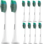 10 Pack Heads With Tao Clean Adults, T.... Fixed Price $44.45.