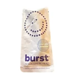 Burst Sonic Electric Toothbrush Replacement Head, Lavender New. Fixed Price $14.99.