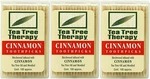 Tea Tree Therapy Toothpicks, Cinnamon, 100 Count (3-PACK). Fixed Price $18.91.