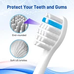 Heads Replacement Compatible With Tao Clean Electric Toothbrush, W.... Fixed Price $31.95.
