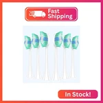 Coslus Electric Toothbrush Replacement Heads: Compatible With C40 (DY-108PRO), 6. Fixed Price $14.29.
